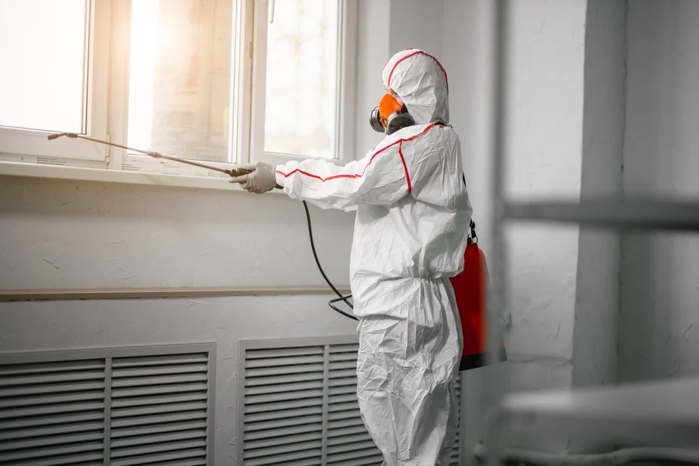 Professional mold remediation services in North Walpole, NH